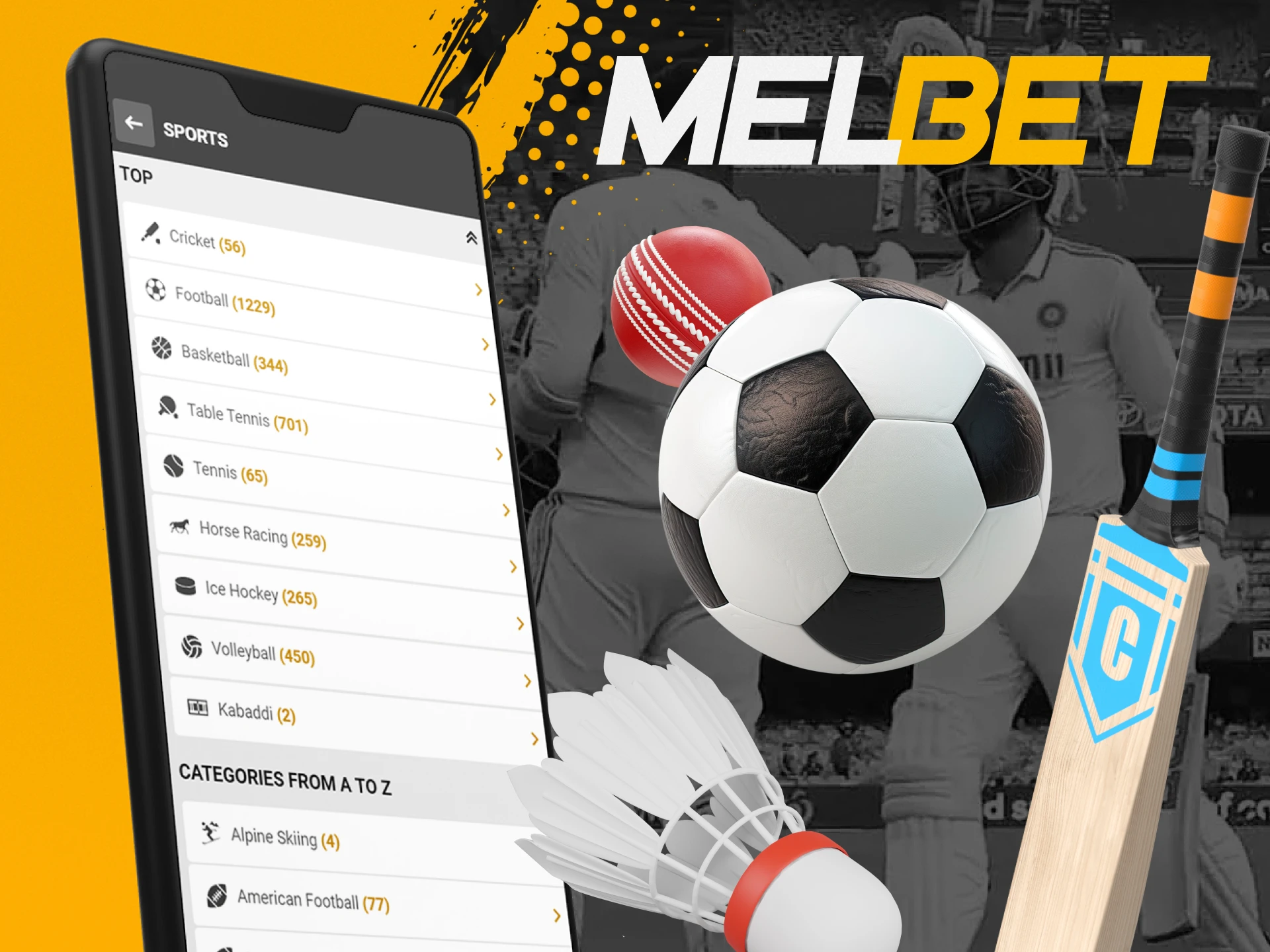 Place bets on your favorite sport at Melbet.