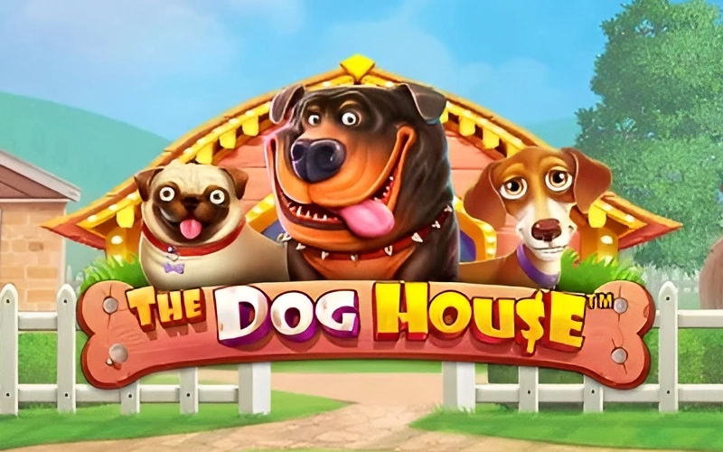 Watch the canine adventures of four neighbourhood puppies in The Dog House game at Melbet.